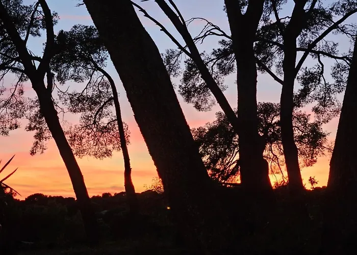 Hotel Grand Des Lecques; Bw Signature Collection